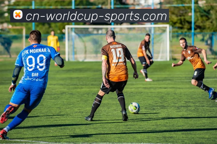 国际足联平台生态图